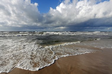 Wave crashing on a beach clipart