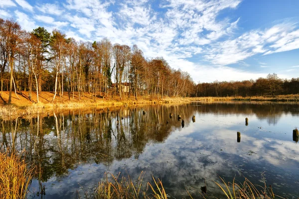 Piękne jezioro jesienny — Zdjęcie stockowe