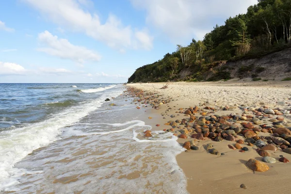 Пляжный камень — стоковое фото