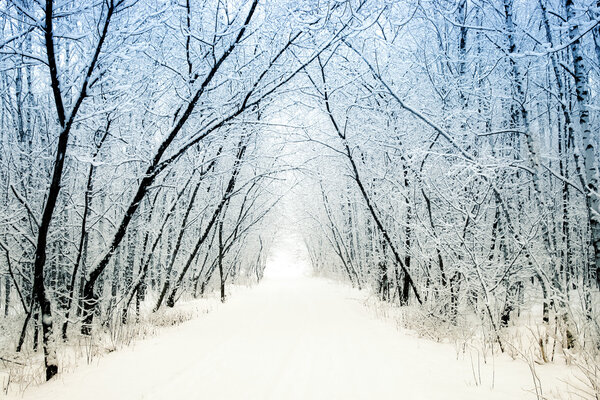 Winter alley