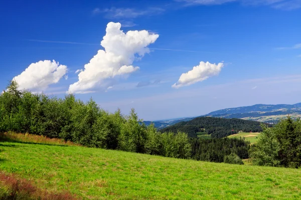Dağ manzaraları bakan yeşil çayır — Stok fotoğraf