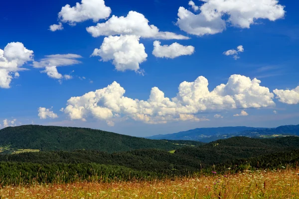 夏の山のパノラマ — ストック写真