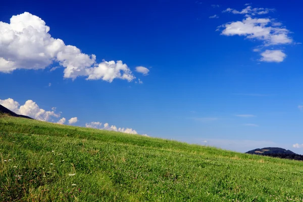 緑の山の牧草地 — ストック写真