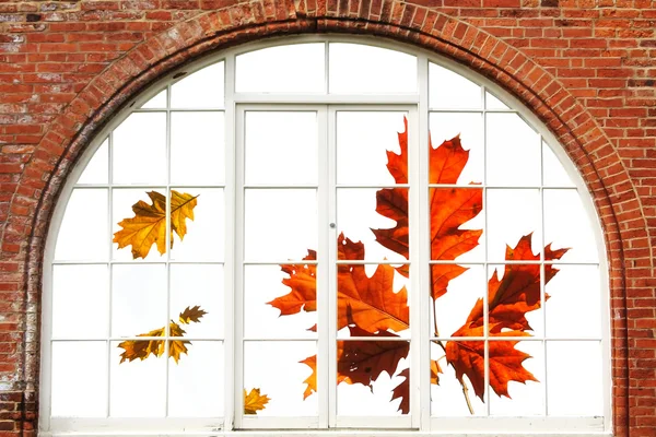 Vista de otoño — Foto de Stock
