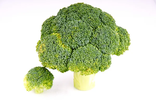 Broccoli trees — Stock Photo, Image