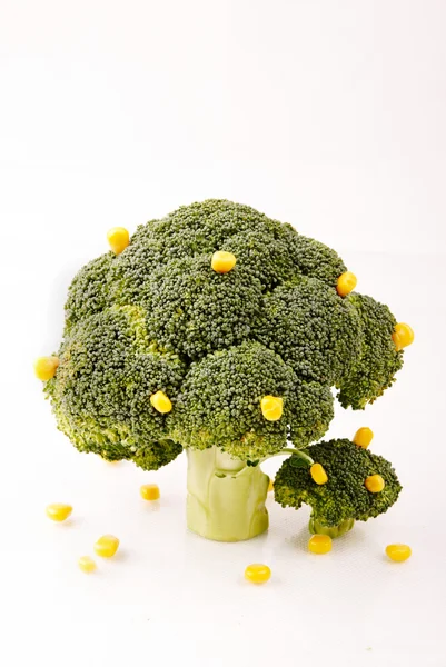 Broccoli träd — Stockfoto