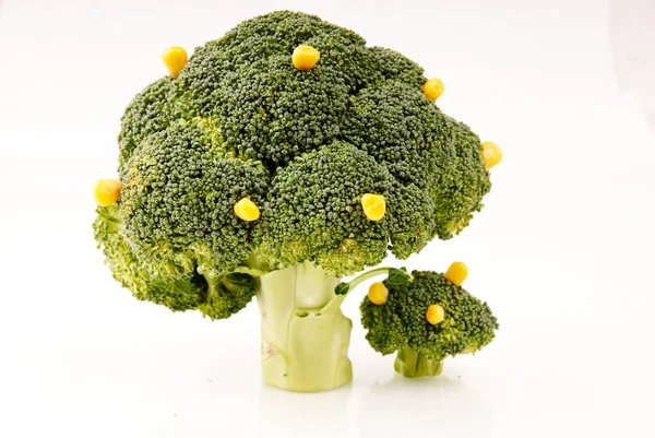 Broccoli träd — Stockfoto