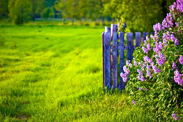 stock image Fence