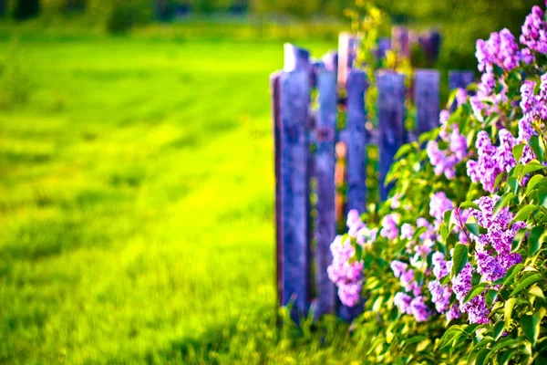 Stock image Fence