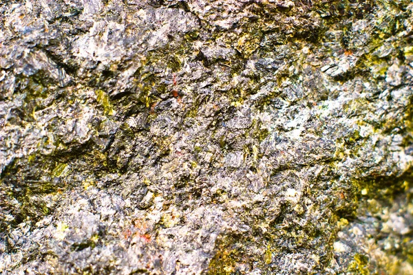 Кам'яні текстури — стокове фото