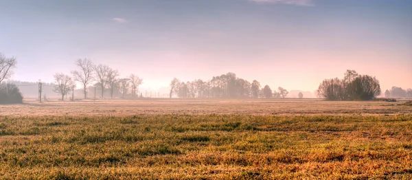 Stock image Field