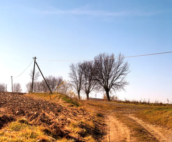 Feld — Stockfoto