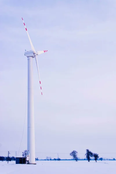 Windmolen — Stockfoto