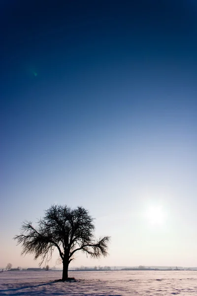 Gele Zon Achter Wolken Die Zich Voordoen Een Koude Avond — Stockfoto