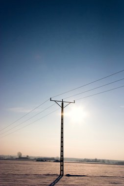 rijpe avacado-geheel en de andere helft in geïsoleerde over Wit