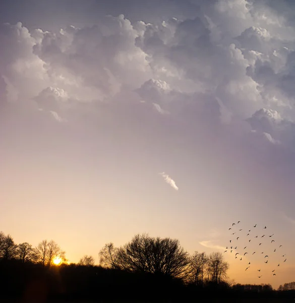 Gele Zon Achter Wolken Die Zich Voordoen Een Warme Avond — Stockfoto