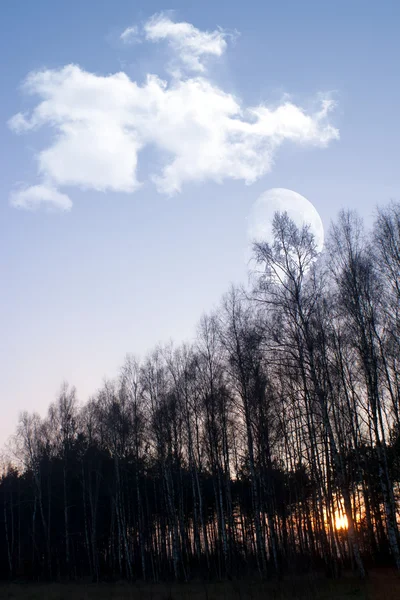 Sole Giallo Che Sorge Dietro Nuvole Una Calda Serata — Foto Stock