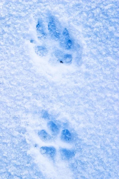 stock image Frozen ground filling the frame as background