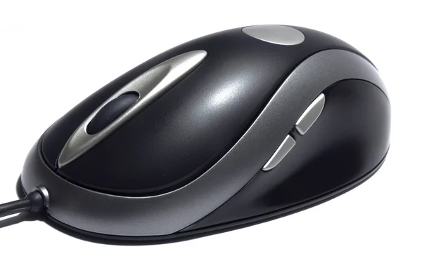 PC mouse — Stock Photo, Image