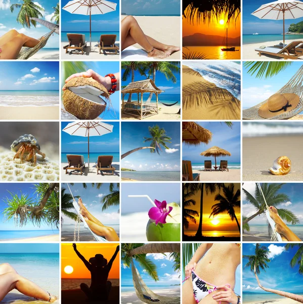 Colagem tropical — Fotografia de Stock