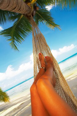 Hammock and legs clipart