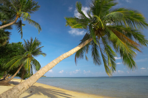 Ближе к поверхности
