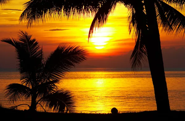 Tropická západ slunce — Stock fotografie