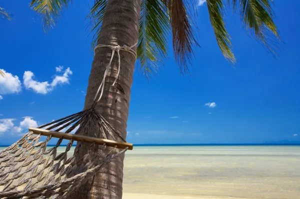Paradise and hammock — Stock Photo, Image