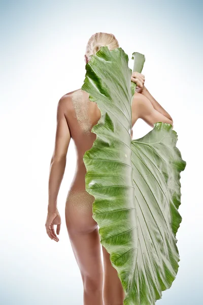 With leaf — Stock Photo, Image