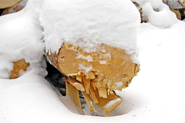 Drewno pod śniegiem — Zdjęcie stockowe