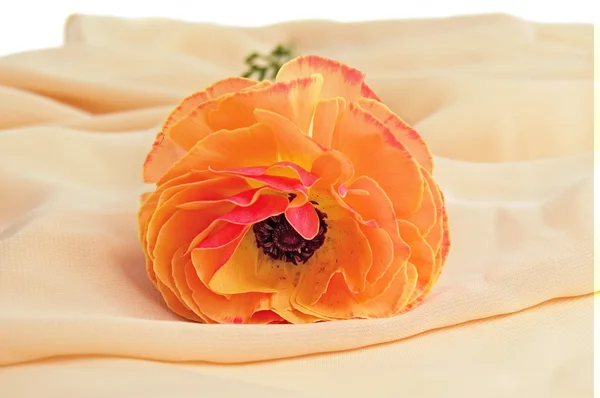 Orangefarbene Blume auf einem Schal — Stockfoto