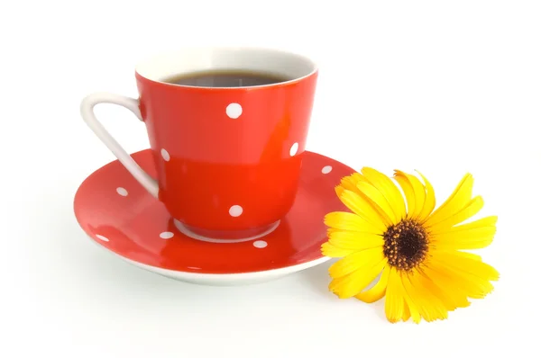 Tazza di caffè rosso con un fiore giallo — Foto Stock