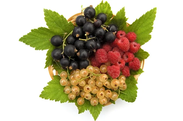 Vinbär och hallon i korgen — Stockfoto