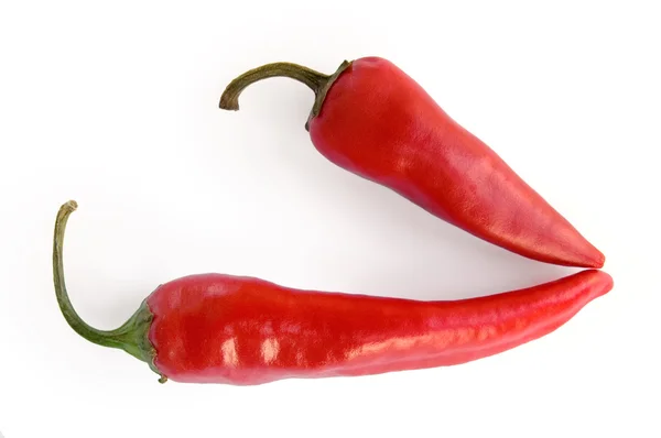 Duas vagens de pimenta quente — Fotografia de Stock