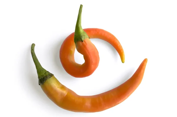 Två orange peppar pod — Stockfoto
