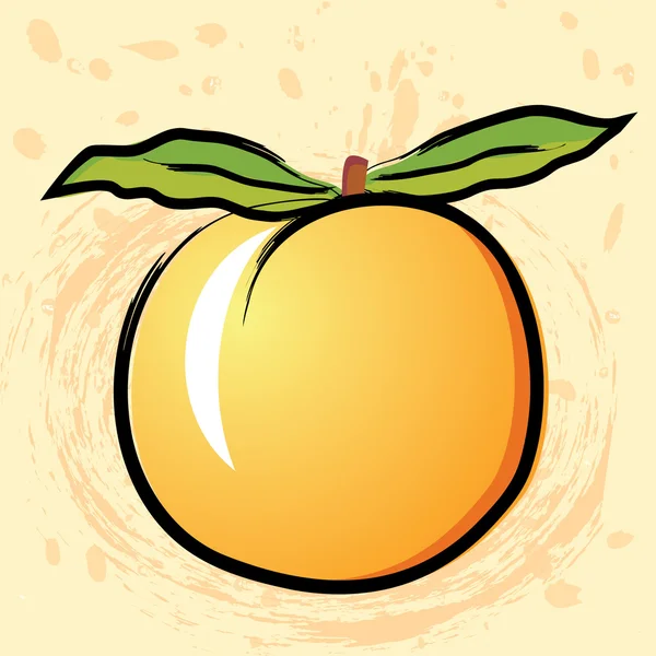 Персика, абрикоса — стоковий вектор