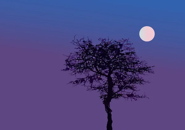 Baum im Mondschein — Stockvektor
