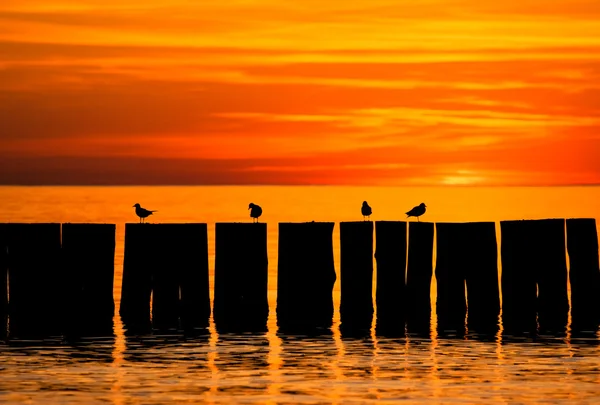 Stock image Sun set by the sea