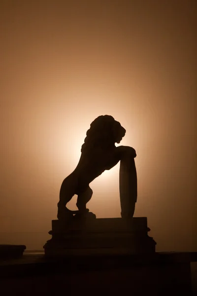 Силуэт льва — стоковое фото