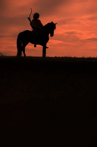 Jezdec na koni — Stock fotografie