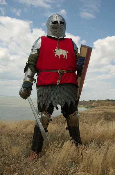 中世纪欧洲骑士 — 图库照片