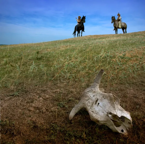 stock image Horsemen archers in steppe wit cow skull