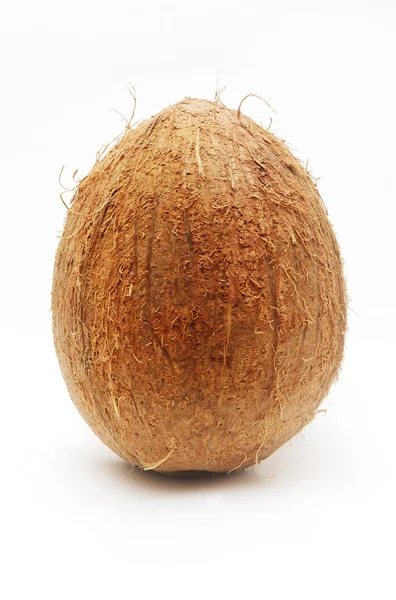 Grande coco isolado — Fotografia de Stock