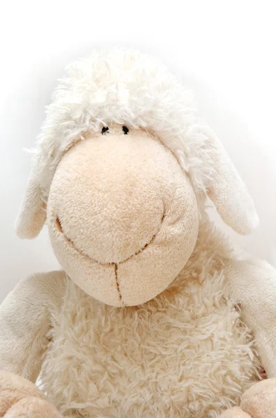 Brinquedo de ovelha branca — Fotografia de Stock