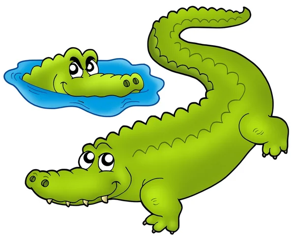 Par de crocodilos de desenhos animados — Fotografia de Stock