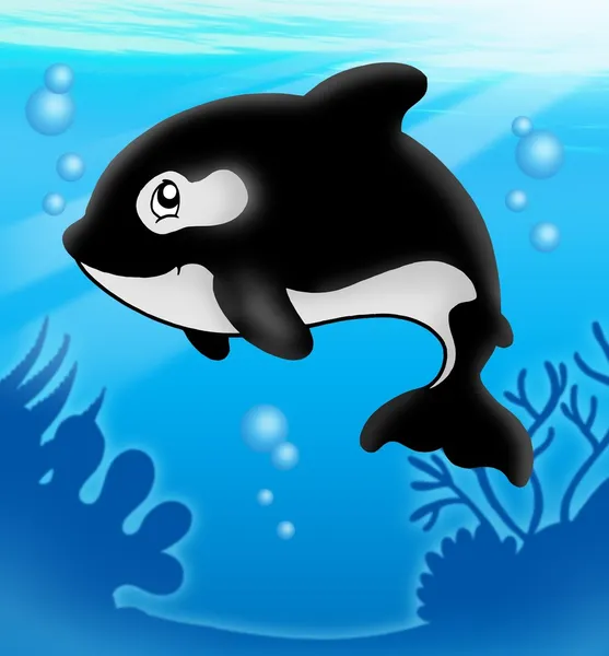 Baleia assassina de desenhos animados no mar — Fotografia de Stock
