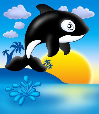 Killer whale with sunset clipart