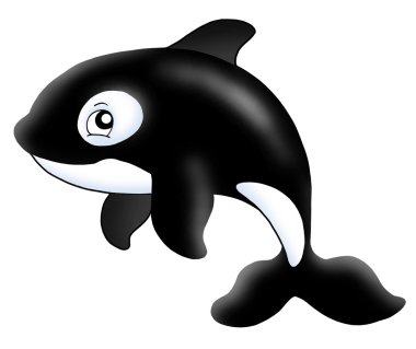 Killer whale clipart