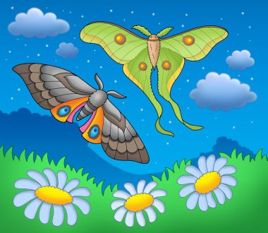 Night butterflies on meadow clipart