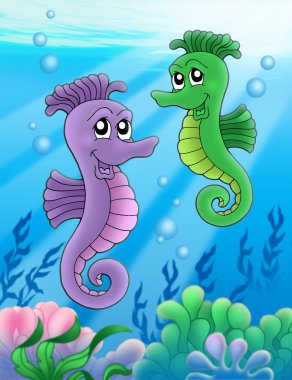 Pair of sea horses clipart